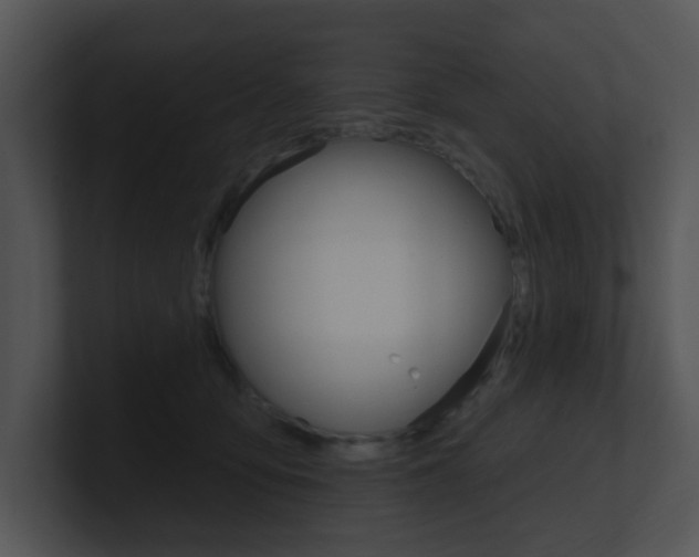 X0000100970419200806241208