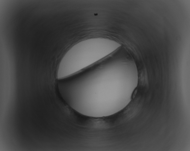 X0000100970424200806241208