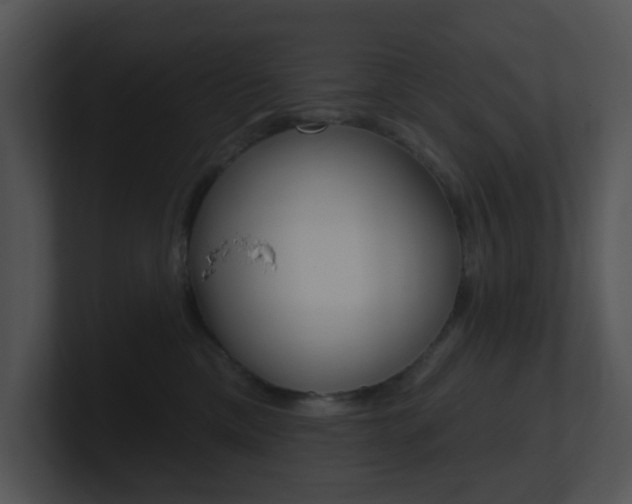 X0000100970425200806241208
