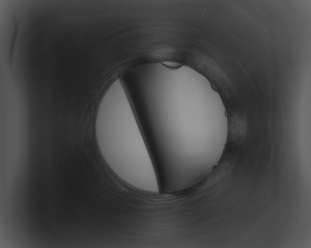 X0000100970428200806241208