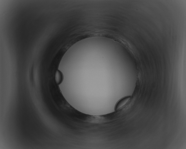 X0000100970429200806241208