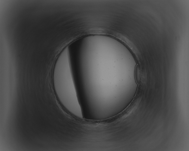 X0000100970433200806241207