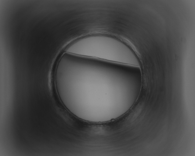 X0000100970439200806241207
