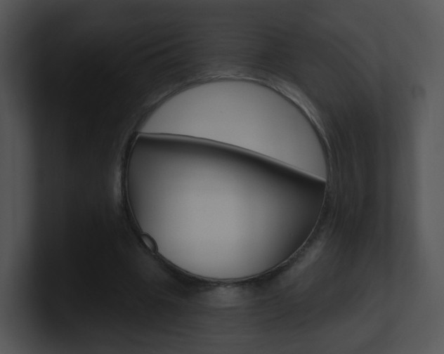 X0000100970441200806241207