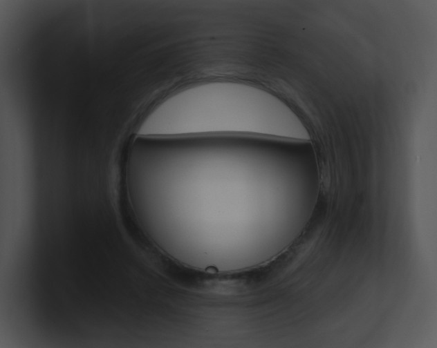 X0000100970448200806241207
