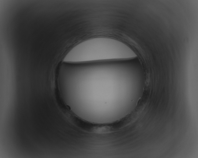 X0000100970452200806241207