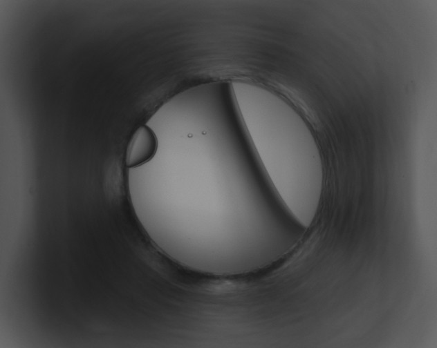 X0000100970453200806241207