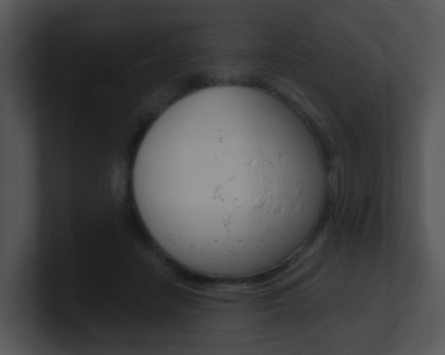 X0000100970458200806241207