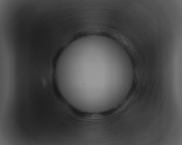 X0000100970463200806241208