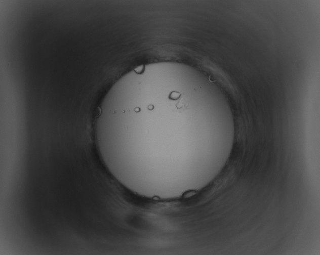 X0000100970465200806241208