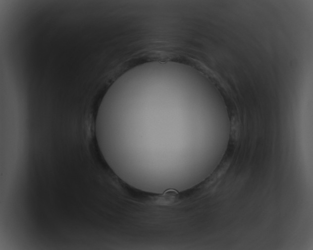 X0000100970474200806241208
