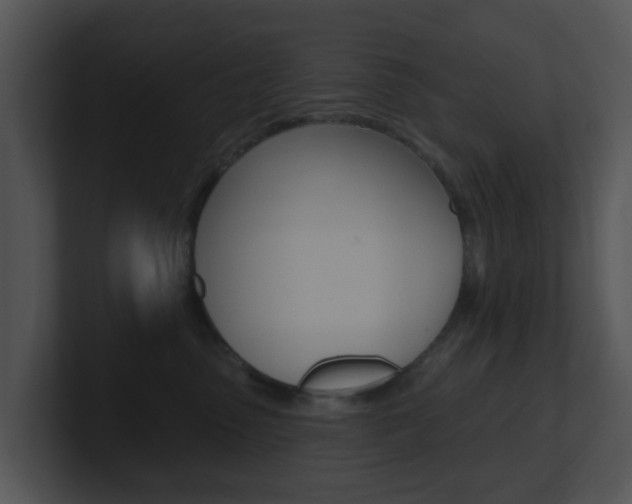X0000100970475200806241208