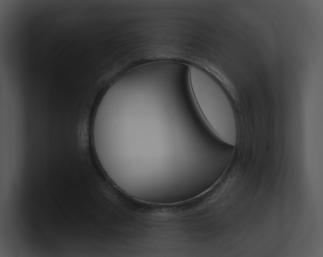 X0000100970489200806241207