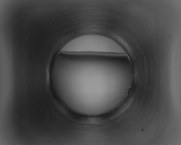 X0000100970493200806241207