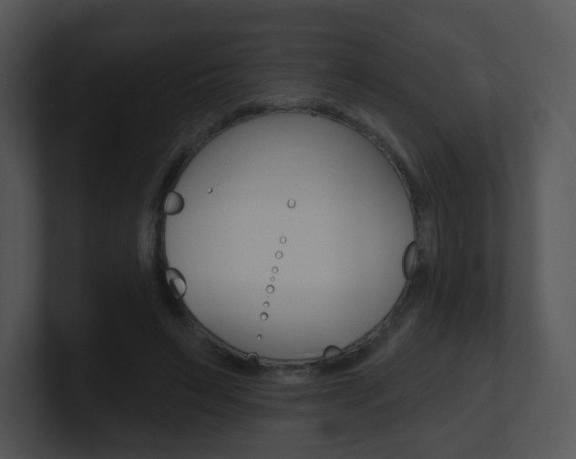X0000100970495200806241207