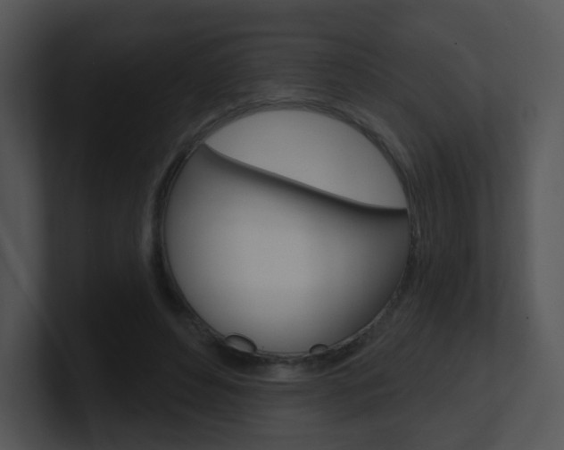 X0000100970496200806241207