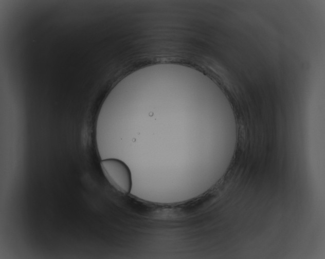 X0000100970499200806241207