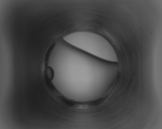 X0000100970500200806241207