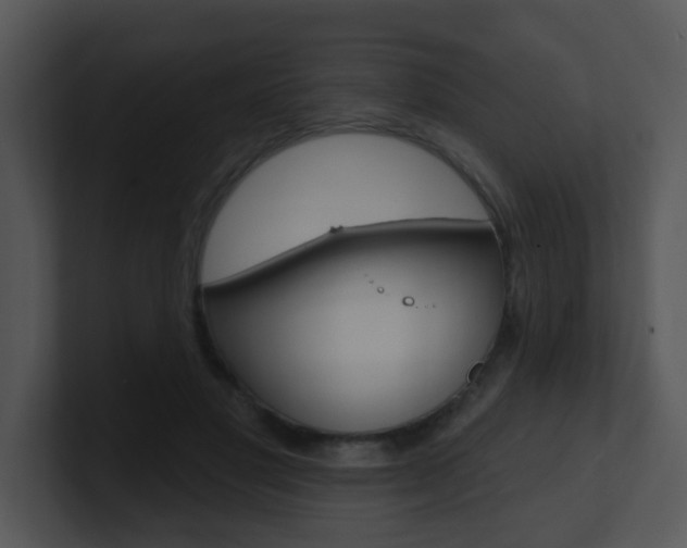 X0000100970501200806241207