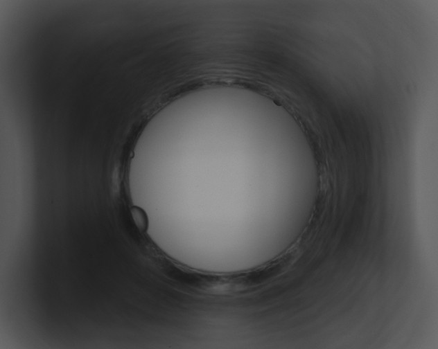 X0000100970504200806241207