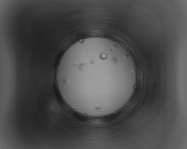 X0000100970507200806241207