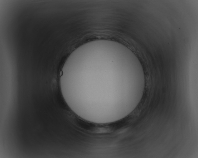 X0000100970510200806241207