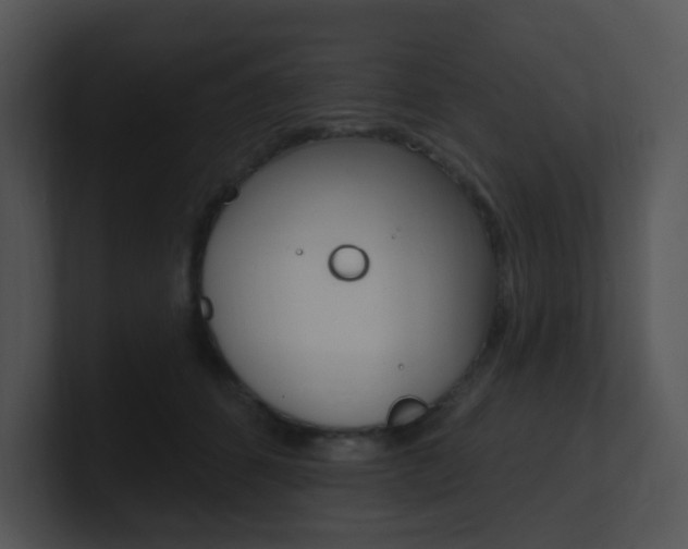 X0000100970512200806241207