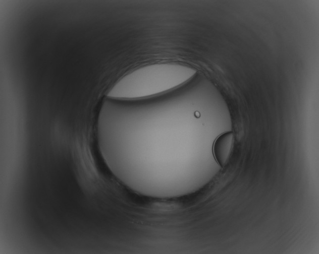 X0000100970515200806241207