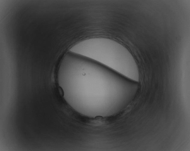 X0000100970516200806241207