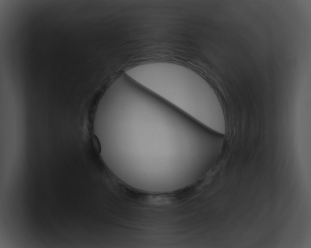 X0000100970520200806241207