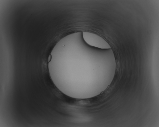 X0000100970522200806241207
