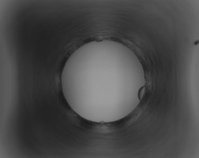 X0000100970523200806241207
