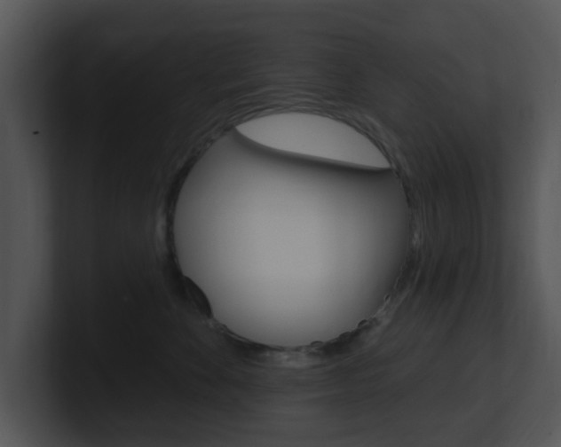 X0000100970524200806241207