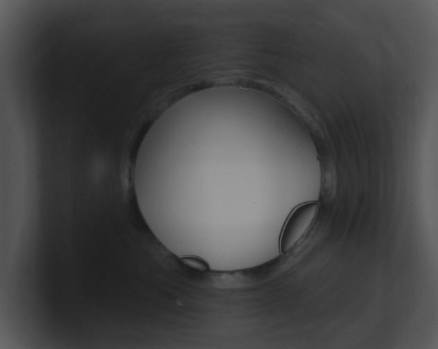 X0000100970525200806241207