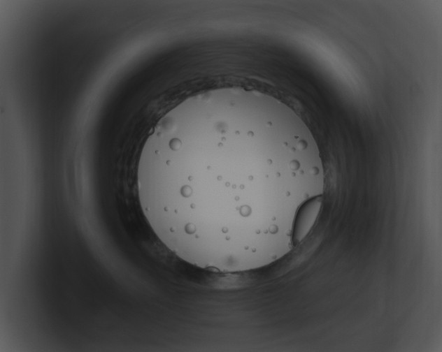 X0000100970527200806241207
