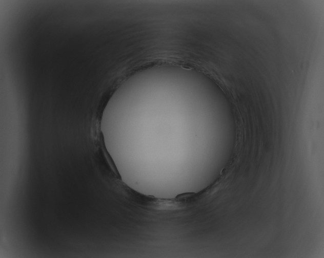 X0000100970528200806241207