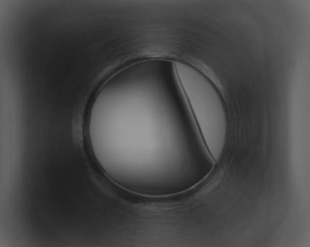 X0000100970530200806241206
