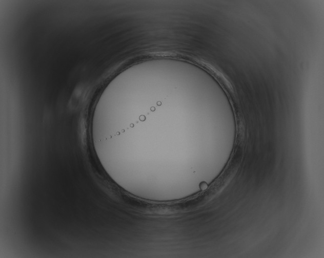 X0000100970533200806241206
