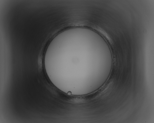 X0000100970537200806241206