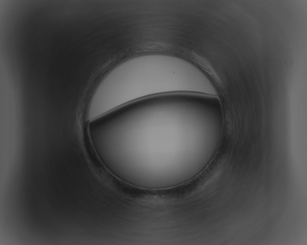 X0000100970538200806241206