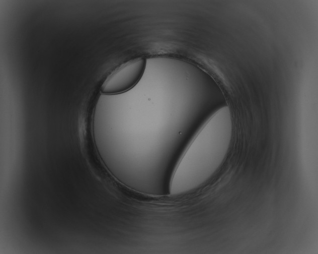 X0000100970539200806241206