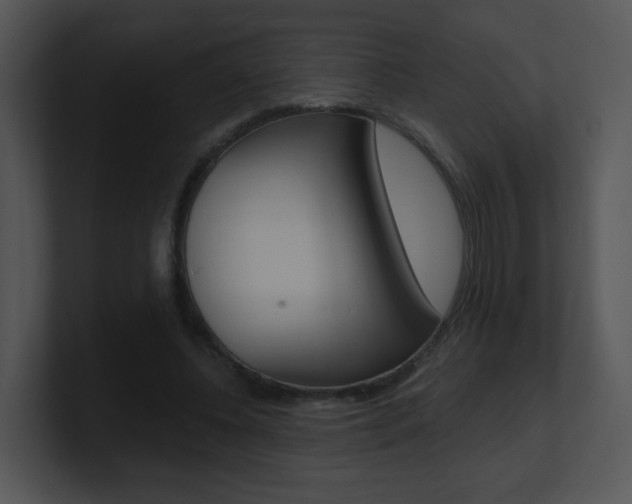 X0000100970540200806241206