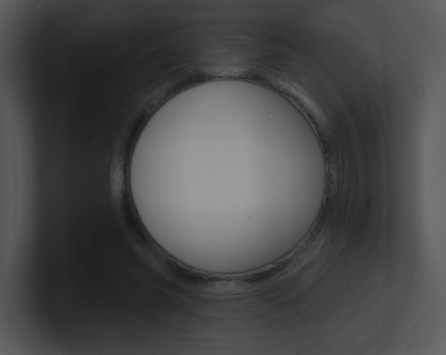 X0000100970541200806241206