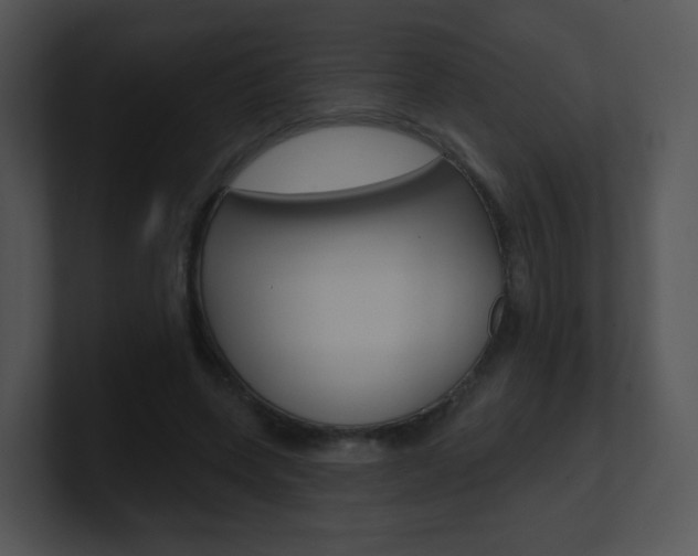 X0000100970543200806241206