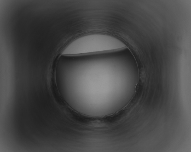 X0000100970544200806241206