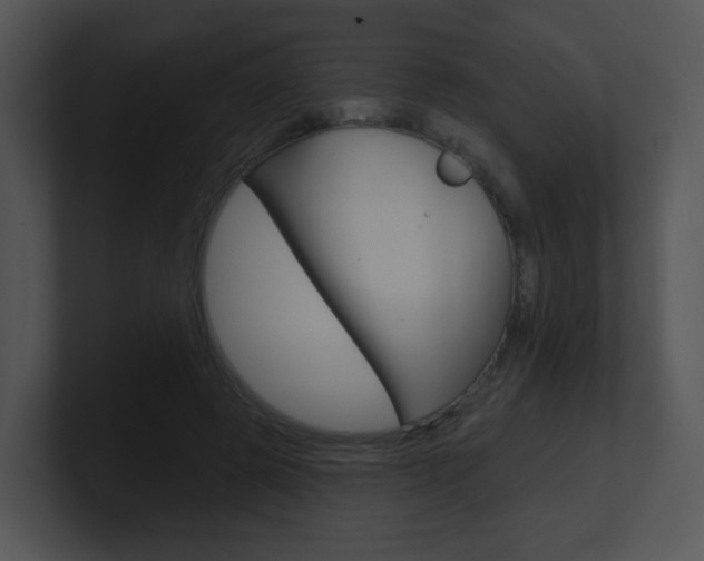 X0000100970545200806241206