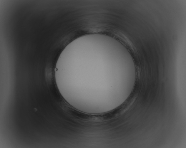 X0000100970549200806241206