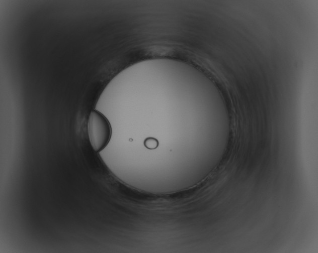 X0000100970551200806241206