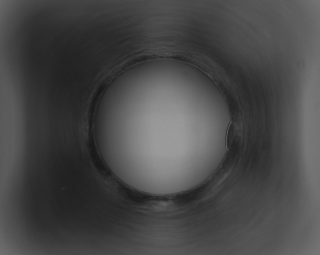 X0000100970552200806241206