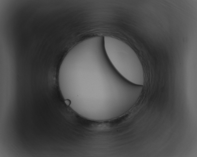 X0000100970553200806241206